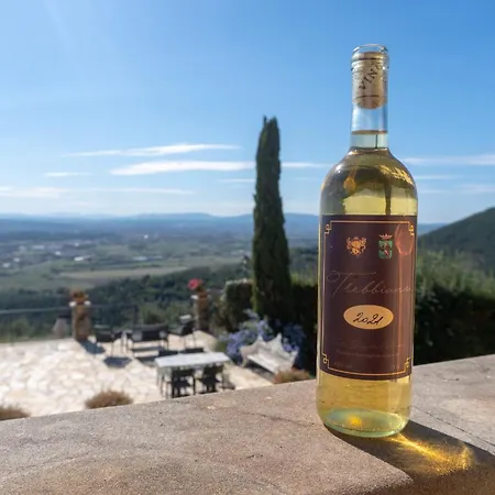 Cima Serra * Buti